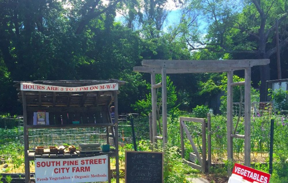 South Pine Street City Farm